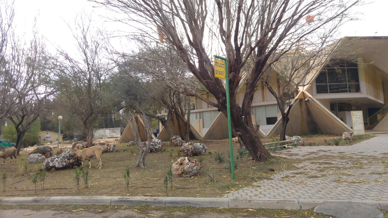 מדרשת בן גוריון הצימר של מרגו מראה חיצוני תמונה